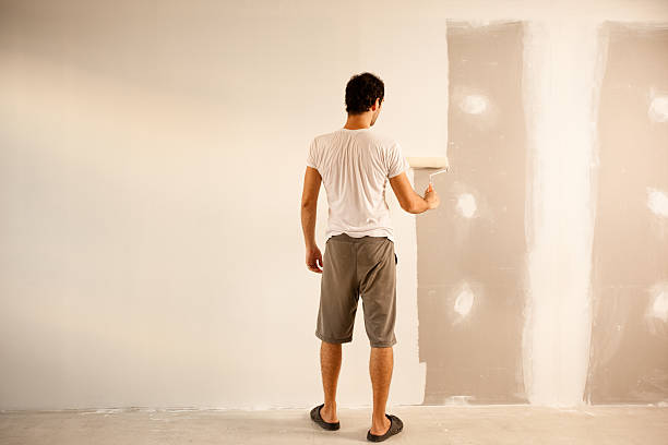 Reliable Bryn Mawr Skyway, WA Dry wall and painting Solutions